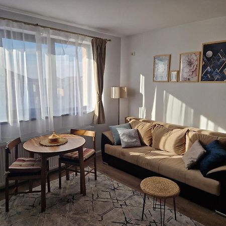 Craitelor Boutique Airport Apartment Otopeni Kültér fotó